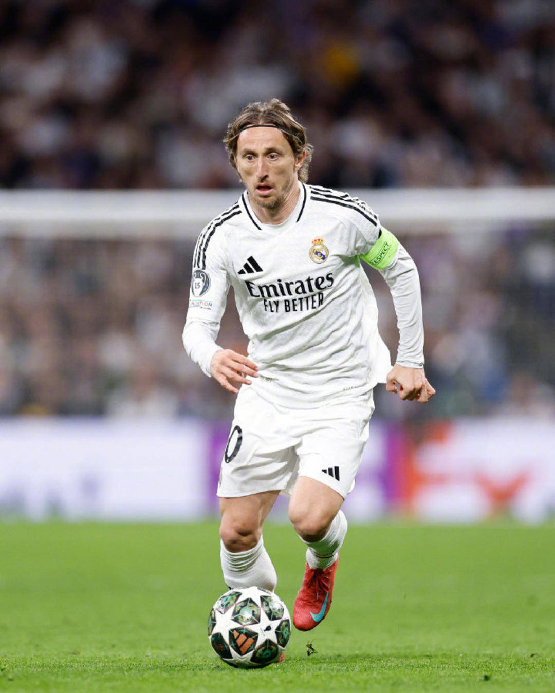 NBL战报：多伊尔24分，墨尔本联98-87击败珀斯野猫